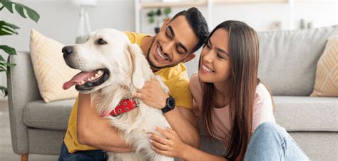 renters with pets laws.